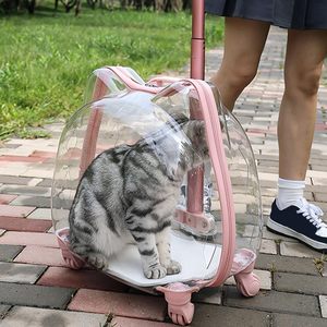 Sac de transport transparent pour animaux de compagnie avec roues, trolley pour chat à tige télescopique, sac de voyage respirant à roulettes pour les sorties en plein air - Product Image 6