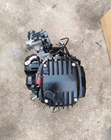 Moteur de moto refroidi par air, 190cc, 4 temps, 1 cylindre, démarrage électrique, allumage CDI, pour Fierce Bird.