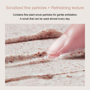 6 colores Aloe Vera Mango limón <span class=keywords><strong>aguacate</strong></span> melocotón <span class=keywords><strong>planta</strong></span> Coco Natural orgánico exfoliante cara cuerpo exfoliante Etiqueta Privada para Baño - Product Image 2