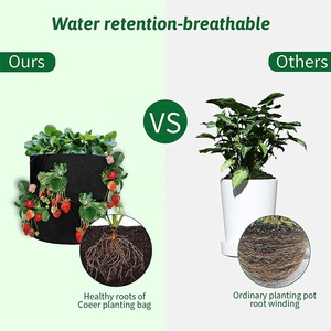 กระถางปลูกต้นไม้แบบผ้าไม่ทอ ขนาด 10 แกลลอน ยี่ห้อ Aitop OEM ผลิตตามขนาดที่ต้องการ ใช้ซ้ำได้ เป็นมิตรกับสิ่งแวดล้อม เหมาะสำหรับปลูกพืชกลางแจ้ง ถุงปลูกสตรอว์เบอร์รี่แบบผ้าสักหลาด - Product Image 6