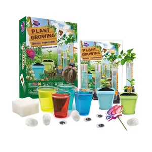 2024 STEM Kits de experimentos científicos de fábrica de brinquedos científicos educacionais, kit popular de cultivo de plantas fornecido com 4 tubos de ensaio de cultivo