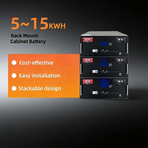 51.2V <b>Rack</b>-Mounted Lithium Ion Battery for Hybrid Grid Household Energy Storage 10-20KW Output Power All-In-One System with BMS - Product Image 1