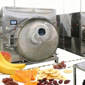 Industrial Scale 200kg Freeze Drying Machine for Seafood Protein Processing - Product Image 3
