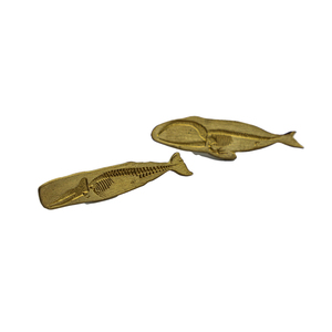Badge de revers en laiton brut, motif dinosaure fossile, thème monde marin, musée de l'océan, poisson, souvenir fossile - Product Image 4