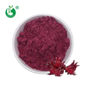 Wholesale Pure Roselle Calyx Powder Hibiscus Powder Roselle Extract Pure Roselle Powder