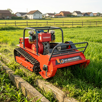 Débroussailleuse robotisée diesel 195-120S pour l'élimination des mauvaises herbes, 1,2 m, pour ferme, pente, jardin, entrée, diverses applications