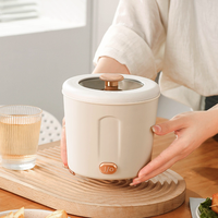 Mini-cocotte électrique 1L avec revêtement antiadhésif, idéale pour dortoir et cuisine, poêle électrique