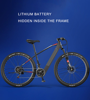 29 pouces 250/400W batterie au Lithium cachée vélo électrique de ville vtt cyclisme vtt vtt vélo de montagne e-bike pour adultes