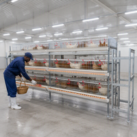 Nouvelle Cage à Poules de Type H Économique avec Collecte Automatique des Œufs, 3/4/5/8 Niveaux, en Maille d'Acier Galvanisé, Mangeoire et Abreuvoir à Pipette Haute