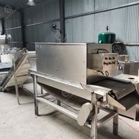 Machine à éplucher l'ail automatique en acier inoxydable à haut rendement pour usage commercial, idéale pour les fermes et les boulangeries (légumes et ail)