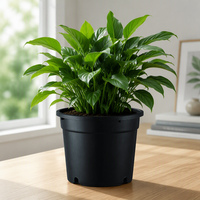 Pots de jardin suspendus au sol en PP de haute qualité, style Japandi, avec trou de drainage, légers, durables, modernes, pour l'extérieur, auto-arrosants