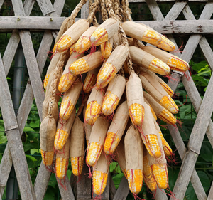 Lanière en plastique avec pendentifs <span class=keywords><strong>d</strong></span>écoratifs en forme de légumes artificiels (<span class=keywords><strong>ail</strong></span>, poivre, cacahuète) - Product Image 5