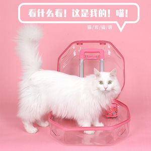 Baolujie Pet Trolley Carrier Transparent Hexagon Portable Dog Cat Travel Case <b>With</b> <b>Wheels</b> - Product Image 4