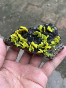 ของที่ระลึกกีฬา คริสตัลพอยต์ หินเรืองแสงสีเขียว ออตไนต์ - Product Image 4