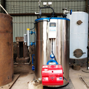 Lhs piccolo verticale 500 700 1000 1500 Kg Gas naturale gpl gasolio caldaia a vapore a gasolio - Product Image 4