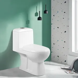 Moderne Badkamer Wc Comfort Wit Color Keramische Wash Down Eendelige Toiletten Sanitair