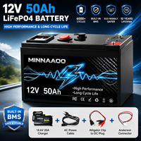 Kit batterie LiFePO4 12V 30 à 120Ah avec chargeur de batterie LiFePO4, pack de batteries LiFePO4 pour stockage solaire domestique, camping-car, marine, camping