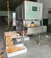 Machine à éplucher multifonctionnelle pour citrouille, ananas, mangue, jackfruit, noix de coco, éplucheur de fruits commercial, trancheuse à mangue, pomme, orange