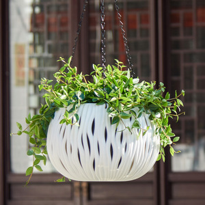 Panier et <span class=keywords><strong>pot</strong></span> suspendus créatifs en gros pour orchidées et plantes de <span class=keywords><strong>lierre</strong></span> vert Décoration d'intérieur - Product Image 3