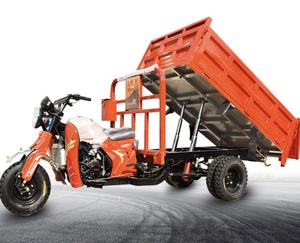 <span class=keywords><strong>Tricycle</strong></span> Utilitaire Agricole à Essence 250cc pour Marchandises à Forte Charge - Product Image 3