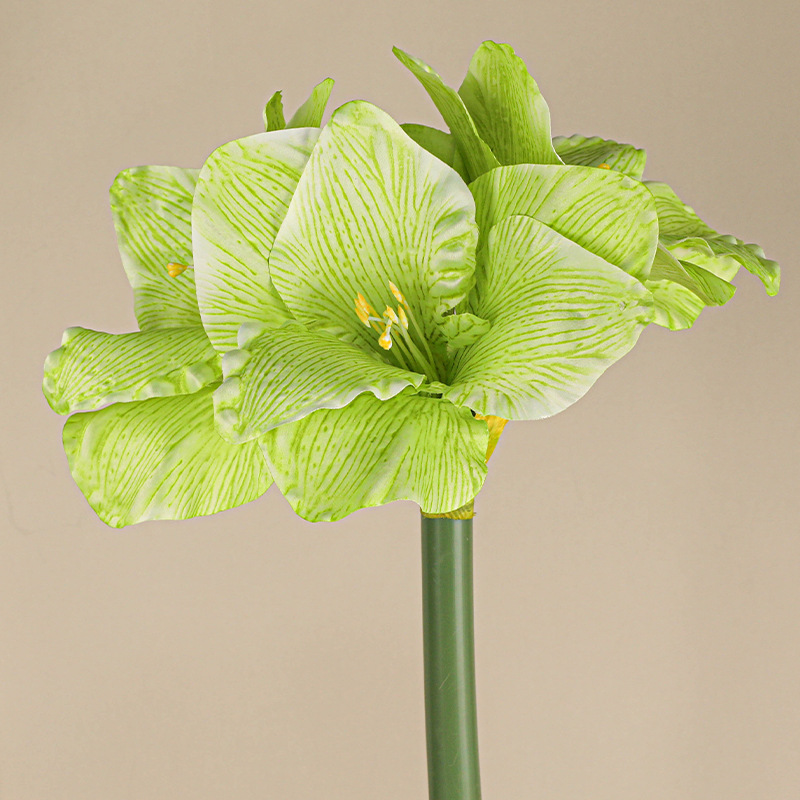 Vert