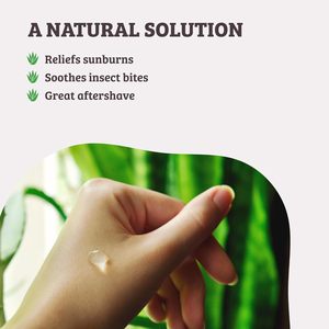 ETRUN ALISA - Crema Facial de Gel de <span class=keywords><strong>Aloe</strong></span> <span class=keywords><strong>Vera</strong></span> Orgánico de Marca Privada <span class=keywords><strong>para</strong></span> la Eliminación de <span class=keywords><strong>Cicatrices</strong></span> de Acné, Terapia Profesional <span class=keywords><strong>para</strong></span> <span class=keywords><strong>Cicatrices</strong></span>, <span class=keywords><strong>para</strong></span> Todo Tipo de Piel - Product Image 4