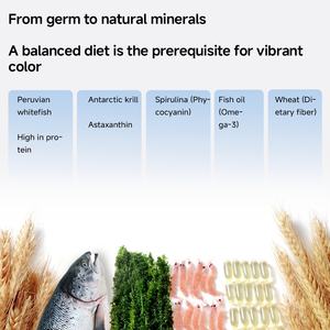 Yee מפעל הסיטונאי מזון דגים קטן betta gupy עשיר בוויטמינים ומינרלים חלבון לצמיחה בריאה - Product Image 3