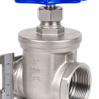 Válvula de Compuerta de 1 Pulgada CF8 SS304 200 WOG con Rosca NPT, Válvula de Compuerta de Acero Inoxidable con Volante Azul para Agua, Aceite y Gas
