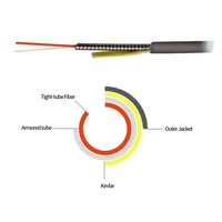 Ftth Baisse 100ft 30m LC Extérieure Armored Duplex 9/125 SM Fiber Optique Câble Jumper Optique Patch Cordon Monomode LC-LC