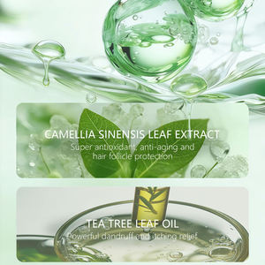 Barra de Champú Sólido con Aceite de Árbol de Té OEM para Cabello Graso - Limpieza Profunda del Cuero Cabelludo, Anticaspa, Sin Residuos, Fórmula Natural, Venta al Por Mayor - Product Image 6