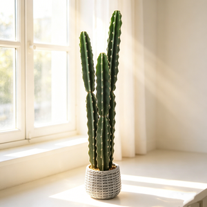 Planta de Cactus Columnar Artificial Realista, Cactus San <span class=keywords><strong>Pedro</strong></span> en Maceta, Cactus Grande y Alto para Decoración de Interiores de Hogar, Oficina y Sala de Estar - Product Image 4