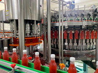 Sapproductielijn Drankproductielijn Verwerkingslijn Sapverwerkingsmachine