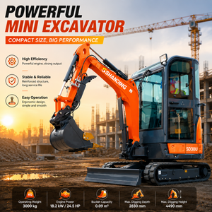 Mini excavadora diésel de bajo precio en oferta, mini excavadora de cadenas de 3 toneladas, nueva mini excavadora compacta, mini excavadora de cadenas. - Product Image 6
