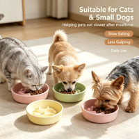 Bol de nourrissage lent pour animaux de compagnie, en céramique, pour chats et chiens, anti-étouffement, alimentation saine pour chats et petits chiens