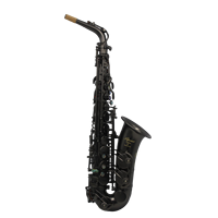 Wholesale Professional Matte Black Brass Material Alto Saxophone Eb Tone Eastern Music AS210 Premium Case Included Performance
