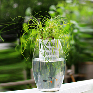 factory Net Cups Slotted Mesh Wide Lip Plant Net Pot Bucket Basket for hydroponic planter pot