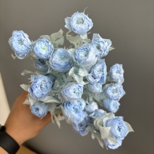 Lot en gros de 20 tiges/têtes de roses <span class=keywords><strong>éternelle</strong></span>s préservées par pulvérisation – Plus de 10 couleurs assorties, fleurs réalistes pour DIY, fleuristes et mariages - Product Image 3