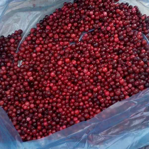 Cultivo al aire libre mejor grado IQF lingonberry congelado