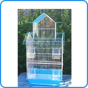 Vente en gros d'usine, oiseaux de compagnie de grande taille de haute qualité - Product Image 4