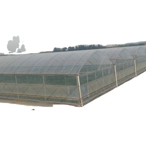 Tente de culture de plants de tomates clé en main serre hydroponique complète tuyau en acier - Product Image 1