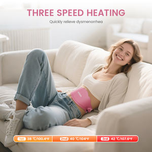 Desain baru terapi fisik 6 mode jangka waktu pereda nyeri 3 tingkat pemanasan suhu puluhan sabuk Ems dengan pijat perut - Product Image 4