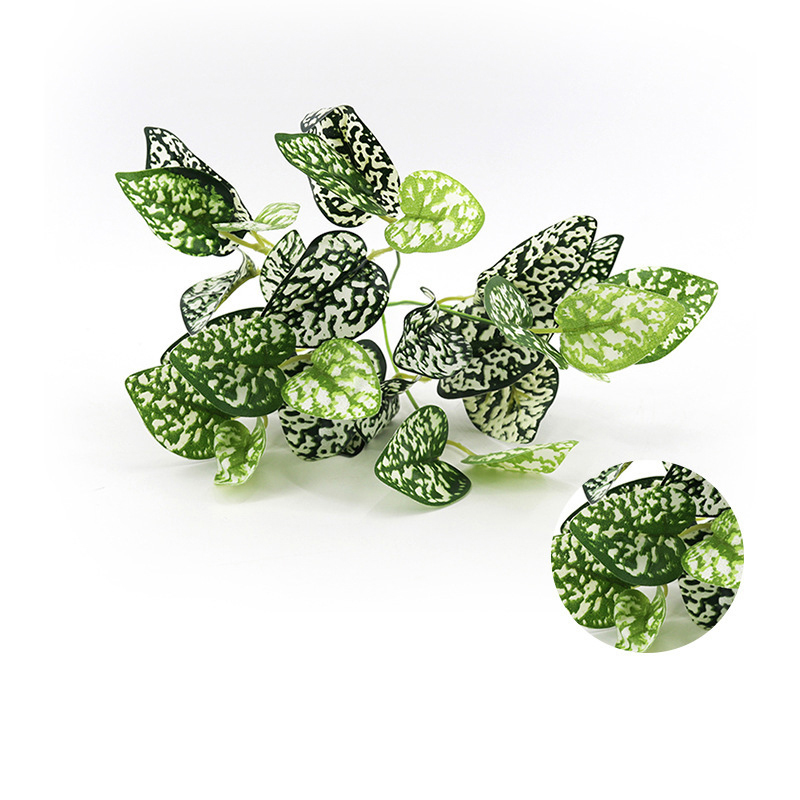 White-Spot Leaf