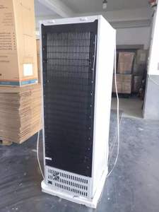 Refrigerador Solar de Energía Verde para Uso Doméstico, Congelador Vertical, Vitrina, Disponible en 198L, 208L, 358L, Refrigerador Solar BD198 - Product Image 6