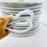 Tira de LED Flexible de Neón Blanca, 220V, 8x16mm, 100m, IP67 Impermeable, para Publicidad Exterior y Decoración de Bares, Certificación CE, Personalizable