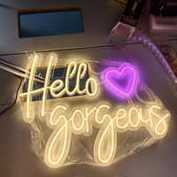Panneau néon « Hello Gorgeous Hello Beautiful » avec design en écriture cursive, support acrylique, pour salon, photomaton, toile de fond de fête