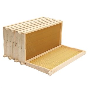 Équipement d'apiculture Cadre de ruche en bois avec fond de teint en cire d'abeille Cadre d'abeille en bois de pin de qualité supérieure - Product Image 5
