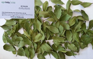 Feuilles de laurier turc herbes culinaires aromatiques naturelles assaisonnement cuisine gastronomique méditerranéenne séchée AD crue - Product Image 3