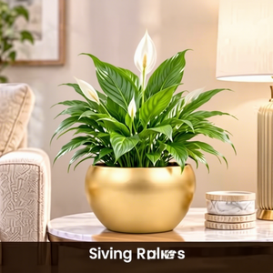 Modern Gold Metal Round Planters 3 Piece Set <b>Small</b> Decorative <b>Pots</b> For Indoor Desk - Product Image 5