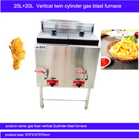 Friteuse à Gaz Professionnelle 20L + 20L pour Frites, Machine Commerciale pour Friture de Pommes de Terre