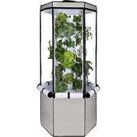 2025 le plus populaire hiver robuste maison intelligente agriculture jardin arrière-cour résistant aux intempéries Portable cadre en métal Mini maison verte tente